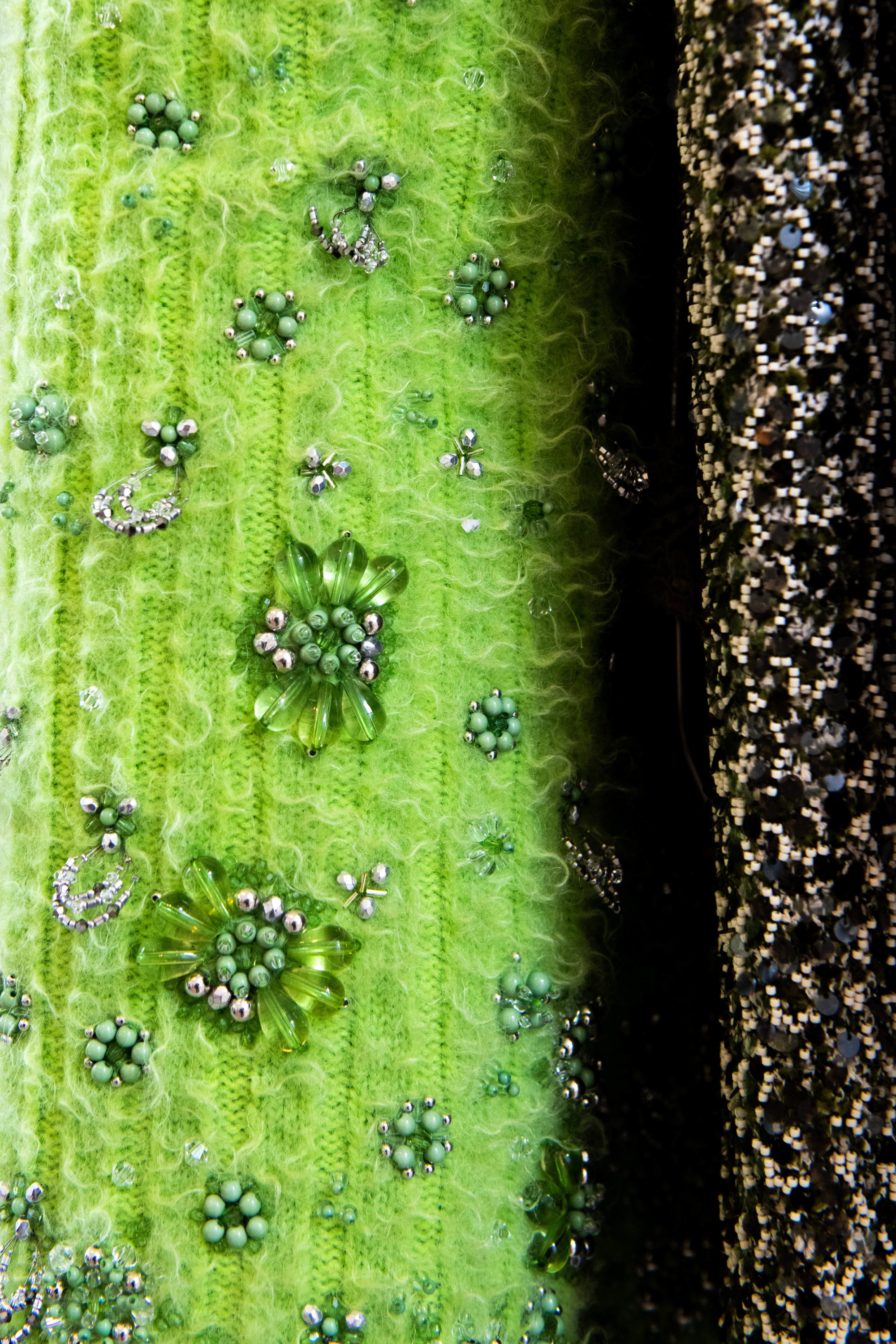_DSC1771